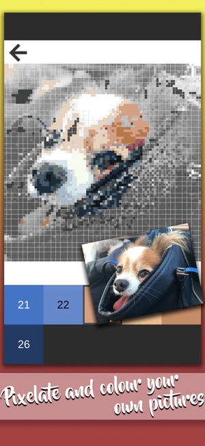 Pixel Photo – Sandbox Coloring(圖1)-速報App