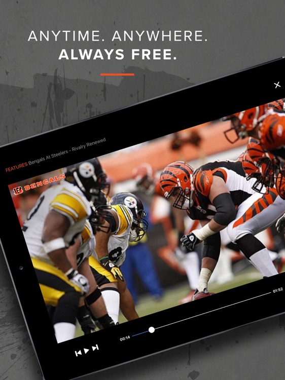 Bengals DeskSite screenshot-4