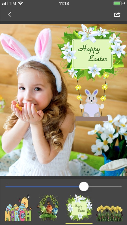 Easter Bunny - Photo Stickers