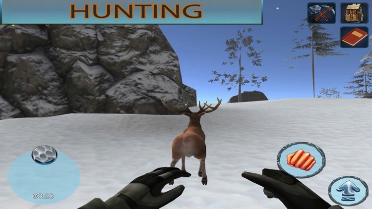 Winter Forest Survival 3D