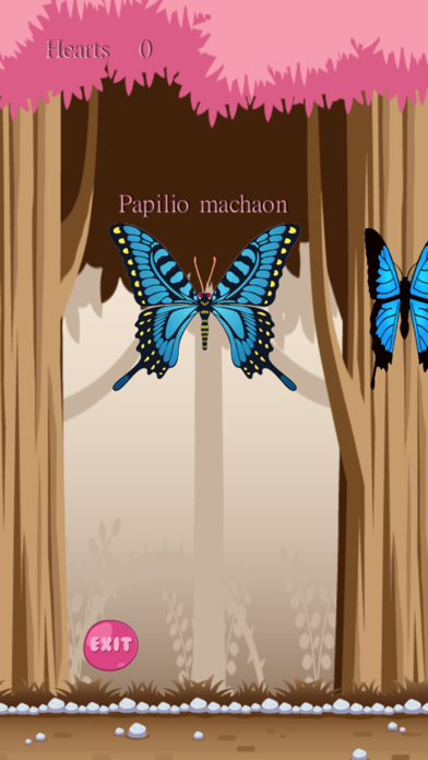 FLAP Butterflies screenshot 2