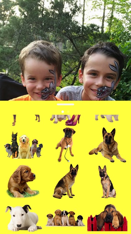 Dogs in your photos screenshot-3