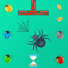 Activities of Optimal Spider