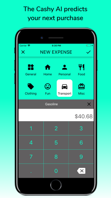 Cashy - Simple Wallet Control screenshot 2