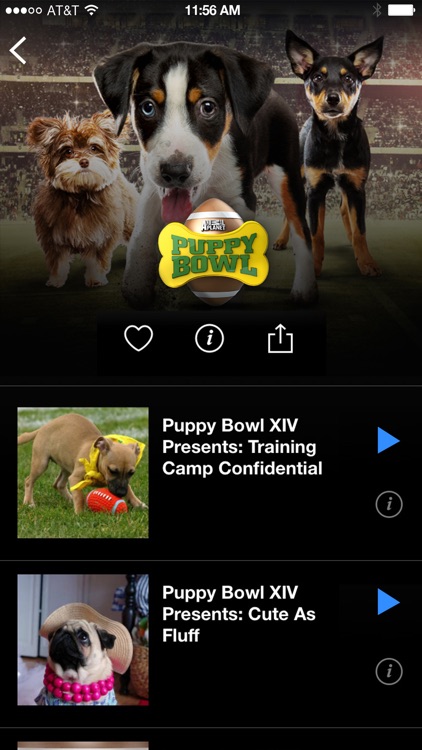 Animal Planet GO