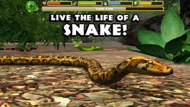 Snake Simulator(圖1)-速報App