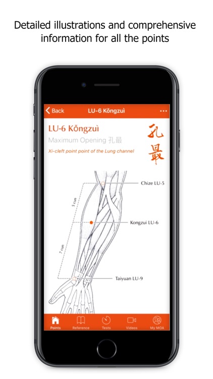 A Manual of Acupuncture v2