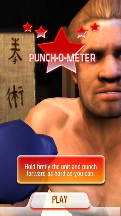 Iron Fist Boxing HD Edition Screenshot 8