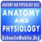 Anatomy and Physiology Practice Exam