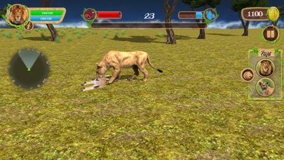 Wild Lion Family Simulator screenshot 2