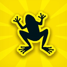 Activities of Skipping Frog