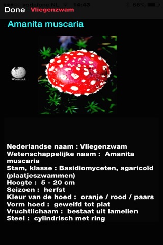 Paddenstoelen screenshot 4