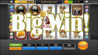 Lion Mega Slots screenshot 2