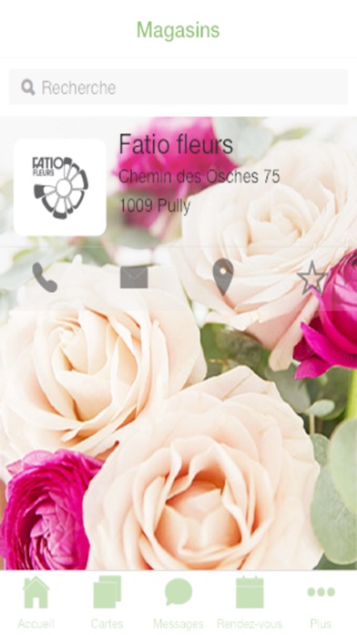 Fatio fleurs screenshot 2