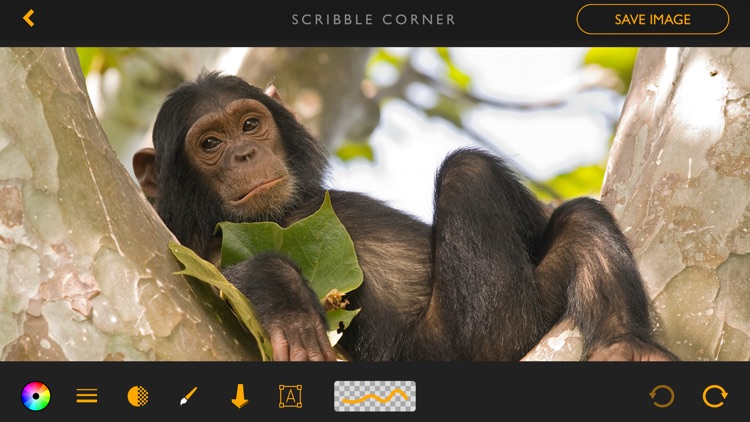 Artemis Pro screenshot-7