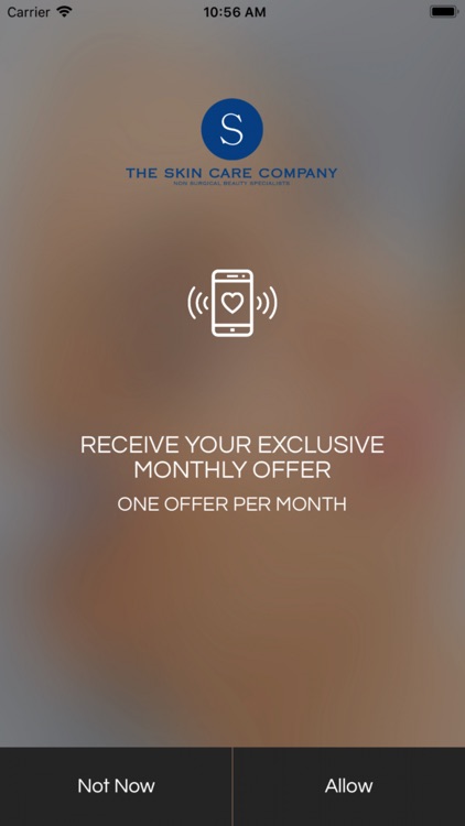 The Skin Care Company