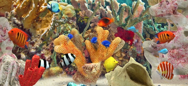 MyReef 3D Aquarium 3(圖1)-速報App