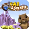 CAI Adventure