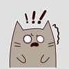 Gray Cat Animated Stickers