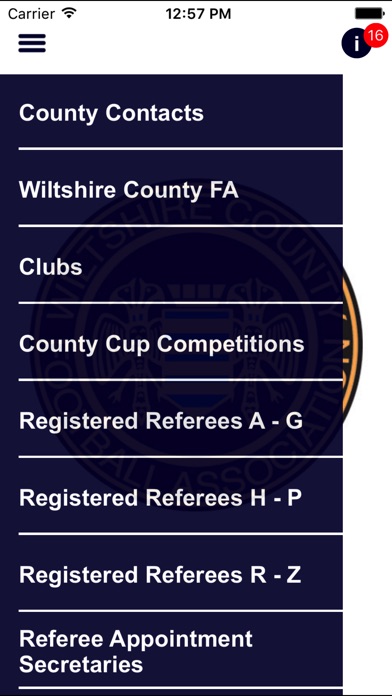 Wiltshire FA screenshot 2