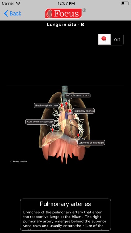LUNGS - Digital Anatomy screenshot-3