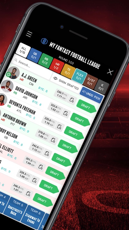 Fantasy Football Draft Day 2017