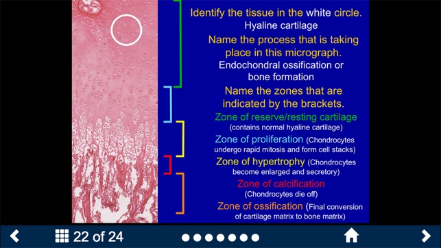 Histology Complete -SecondLook(圖2)-速報App