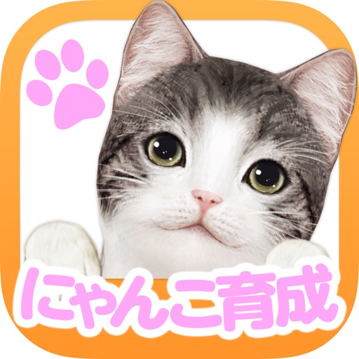 てのひらニャンコ【スマホでにゃんこ育成】