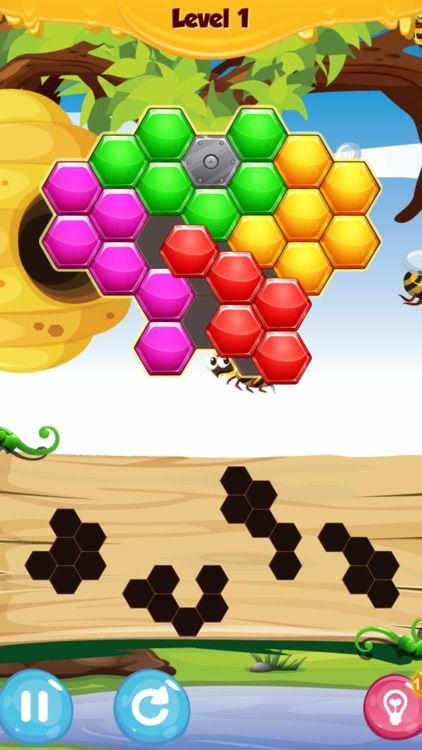 Honey Bee: Hexagon Hive Puzzle