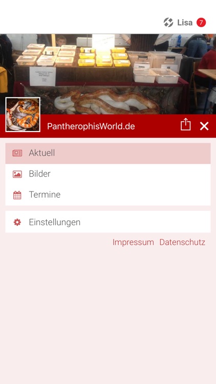 PantherophisWorld.de