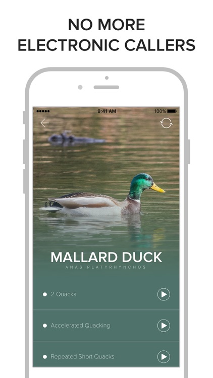 Game Calls NZ screenshot-5