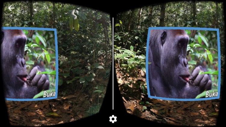 apeAPP VR screenshot-3