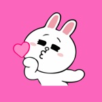 Molly Cute Stickers Emojis App