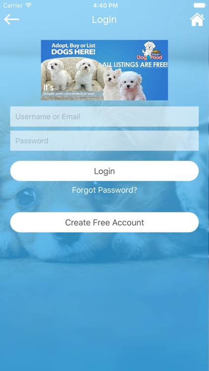 Adopt Buy Dogs Shop screenshot-3
