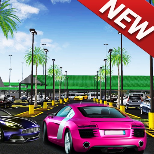 Car Parking Real 3D Simulation Icon
