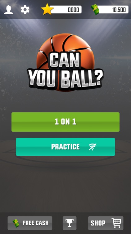 Can You Ball? - Hoop Anywhere