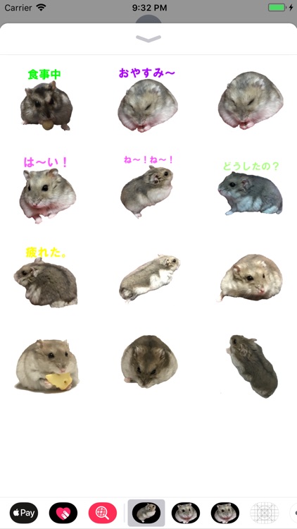 Cute Djungarian