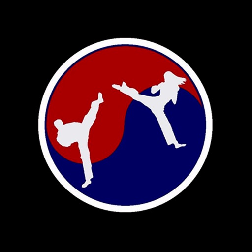 Precision Tae Kwon Do Academy