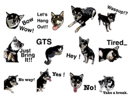 iMessage sticker with  dog and  other animals