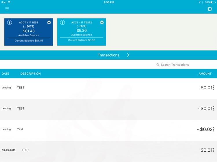 PCB Cash Management for iPad