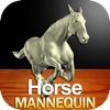 Horse Mannequin