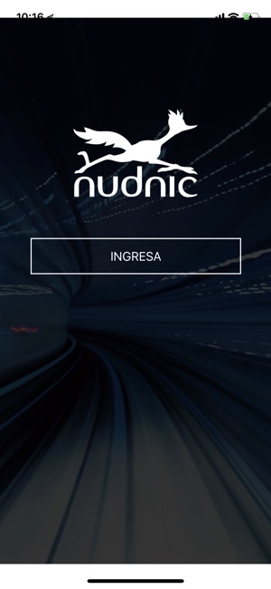 Nudnic