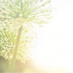 Grenzenlos - Nageldesign