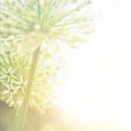 Grenzenlos - Nageldesign