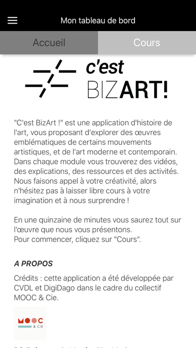 C'est BIZART! screenshot 3