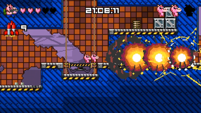Screenshot from Ammo Pigs: Armed and Delicious