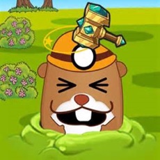 Activities of Punch the Moles