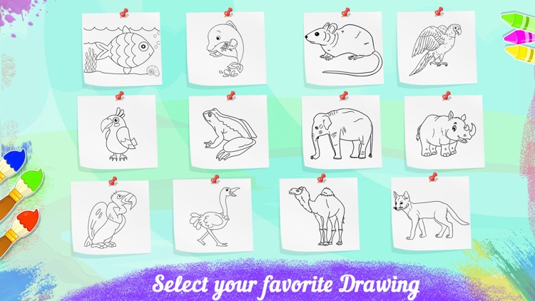 Coloring & Learning Animals