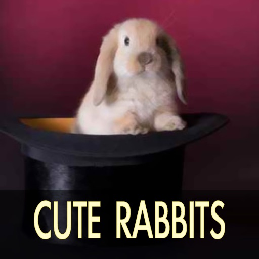 Cute Rabbit Pictures iOS App