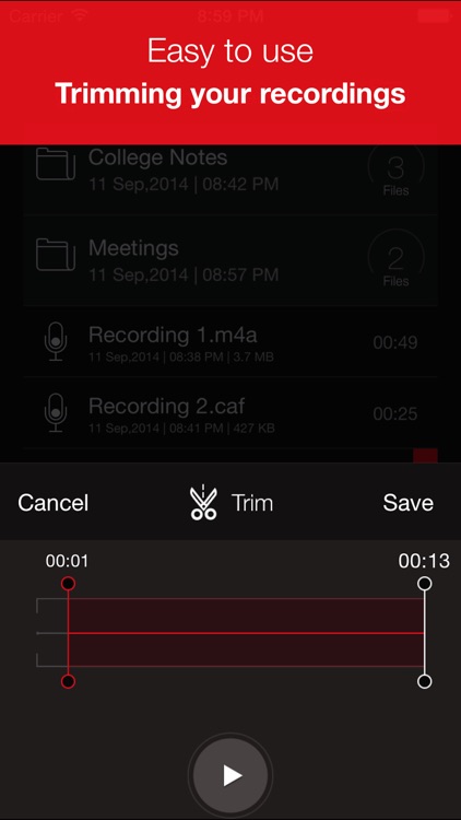 Recorder Plus : Voice Recorder screenshot-3